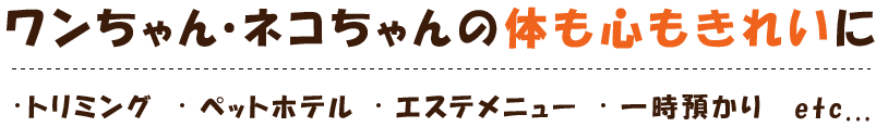 ワンちゃんの体も心もきれいに