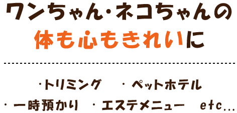 ワンちゃんの体も心もきれいに